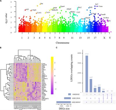 Systematic Transcriptome Analysis of Noise-Induced Hearing Loss Pathogenesis Suggests Inflammatory Activities and Multiple Susceptible Molecules and Pathways